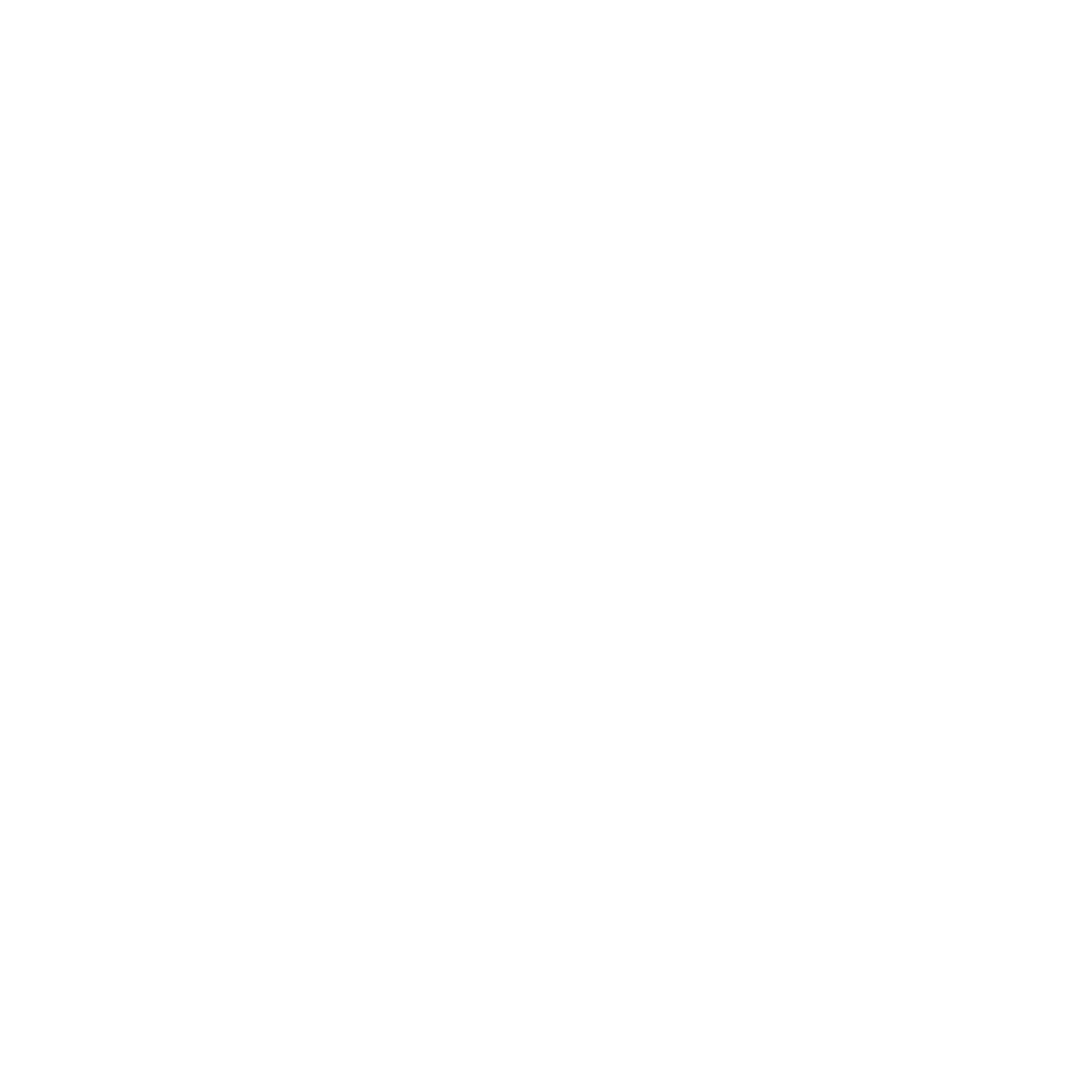 Web Development Services 1